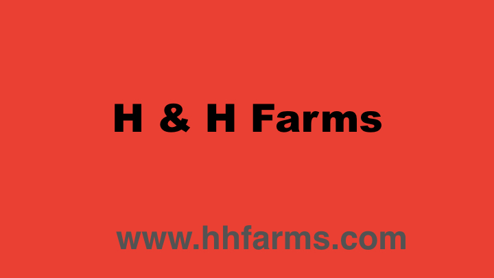 H&H Farms